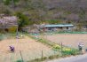ভ্যালি অব ডলস: জাপানের এক রহস্যময় পুতুল গ্রাম
