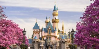 Disneyland-gallery