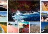 a2615665945cef7f4c1f1619afe8ac93_collage_450