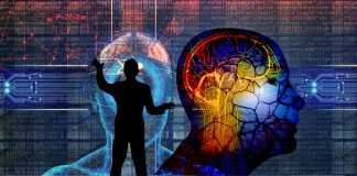 Facts of Brain