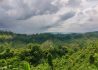 IMG_20230703_034147_50