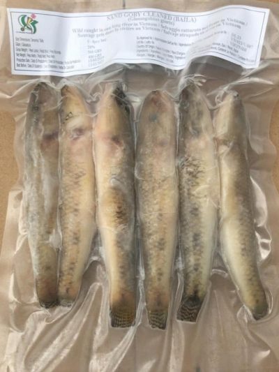 Frozen Fish